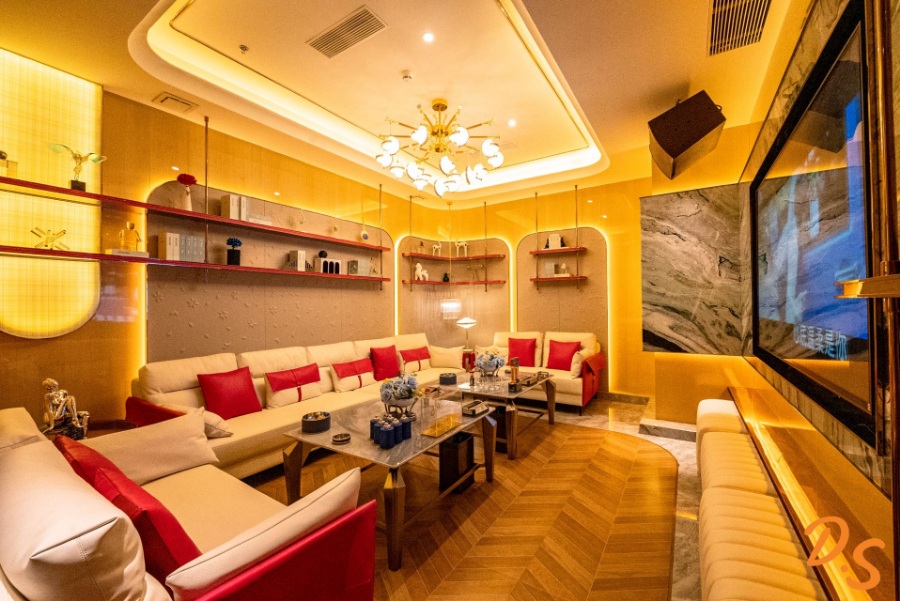 D.s KTV