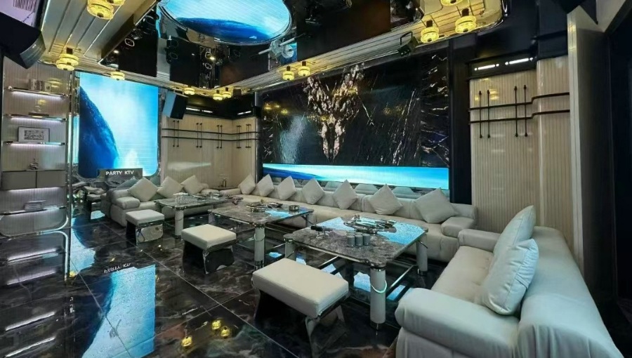 PARTY KING
